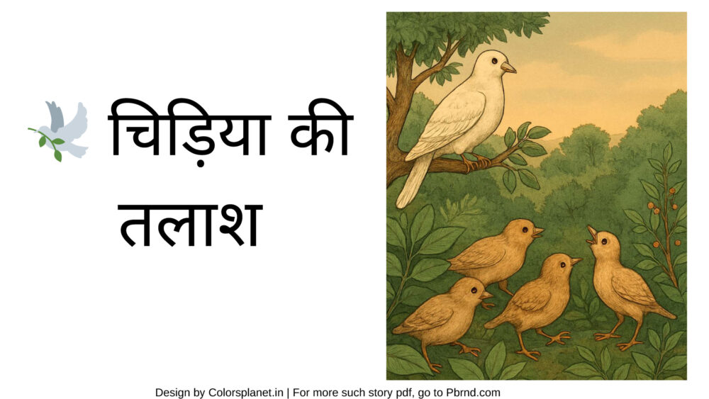 🕊️ चिड़िया की  तलाश