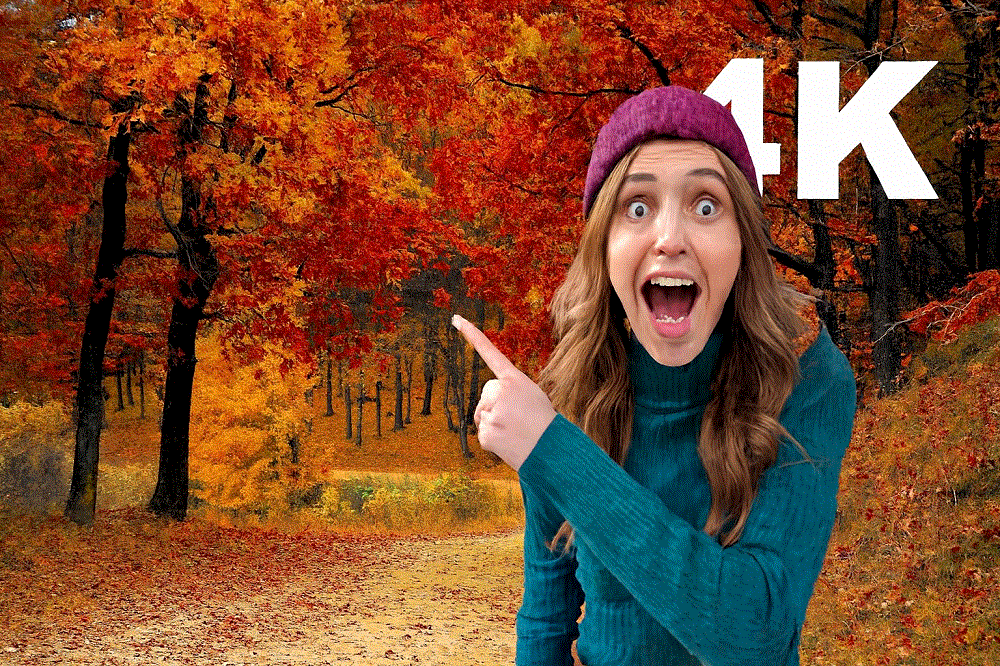 Autumn Serenity | 5:35min | 4K | Download Without Logo for $1 | $1Creativepacks