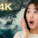 41:56-Journey Across Sky, Clouds, Beaches & Landscapes  | Download Without Logo | $1Creativepacks